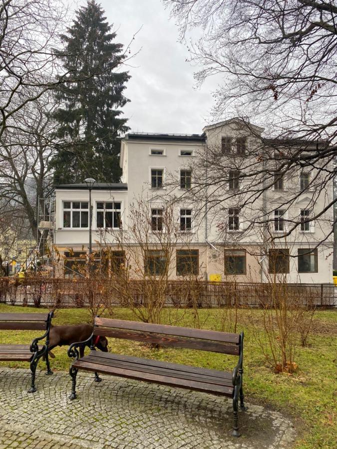Cienista 7 Apartments Lądek-Zdrój エクステリア 写真