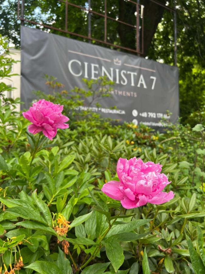 Cienista 7 Apartments Lądek-Zdrój エクステリア 写真